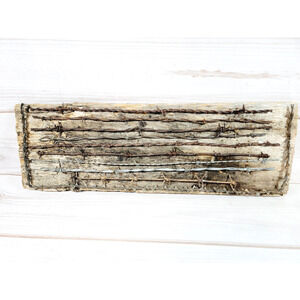 Antique Barbed Wire Display on Old Barn Wood Vintage Western Art